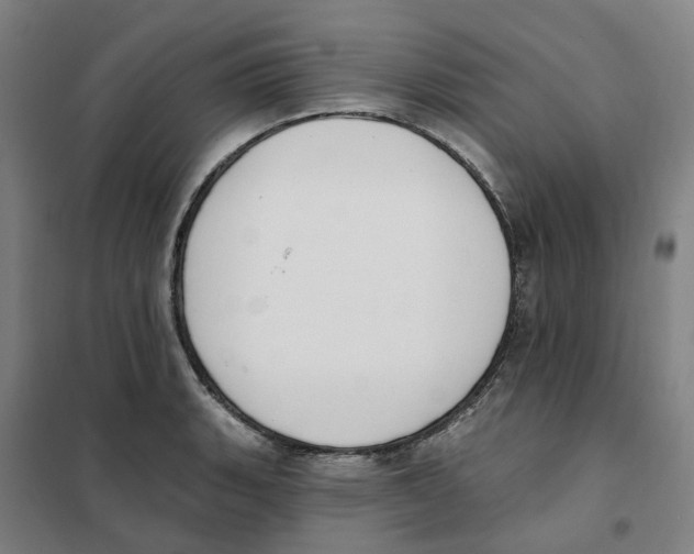 X0000101231135200807251128
