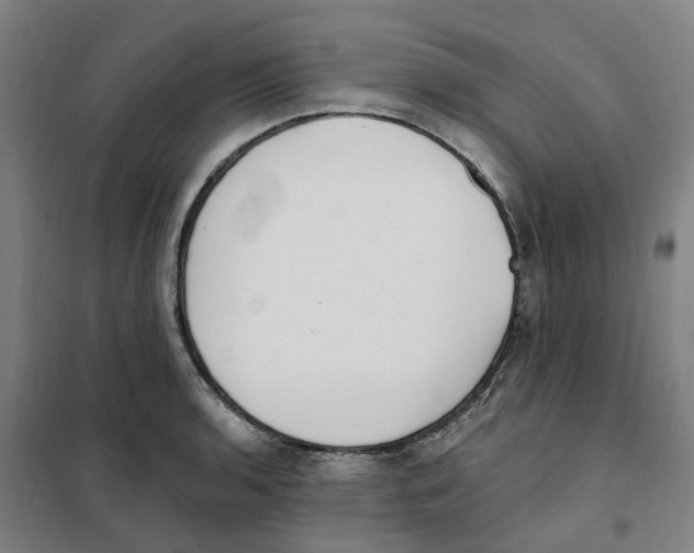 X0000101231136200807251128