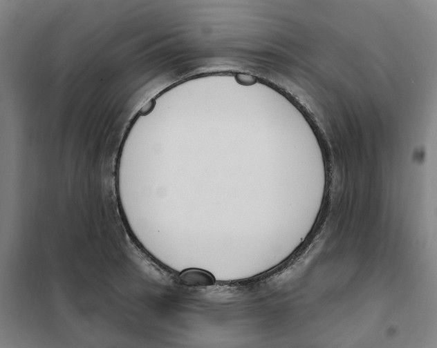 X0000101231137200807251128