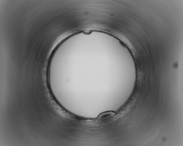 X0000101231138200807251128