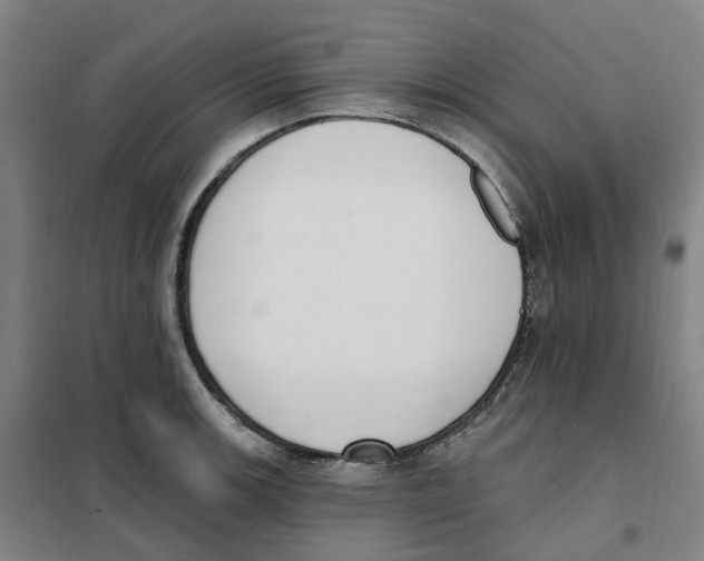 X0000101231139200807251128