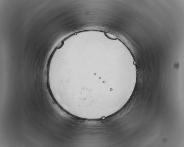 X0000101231140200807251128