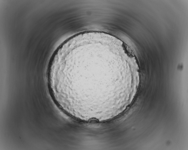 X0000101231141200807251128