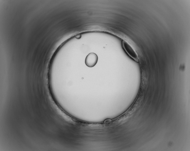 X0000101231142200807251128