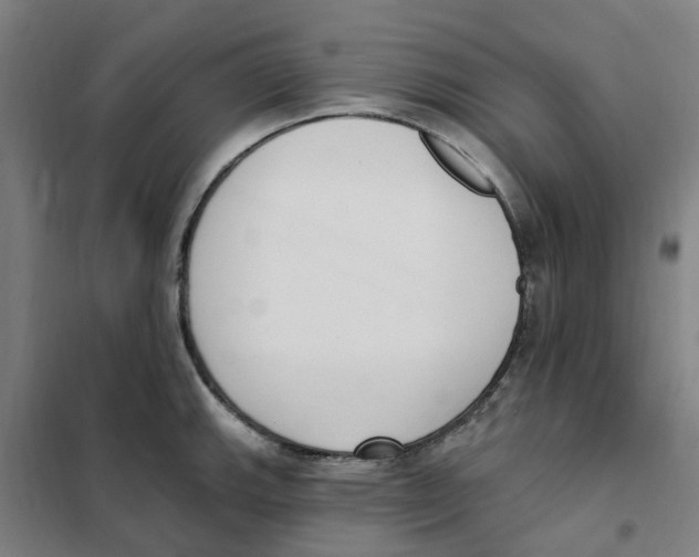 X0000101231143200807251128