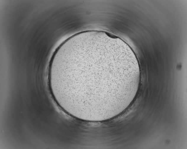 X0000101231144200807251128