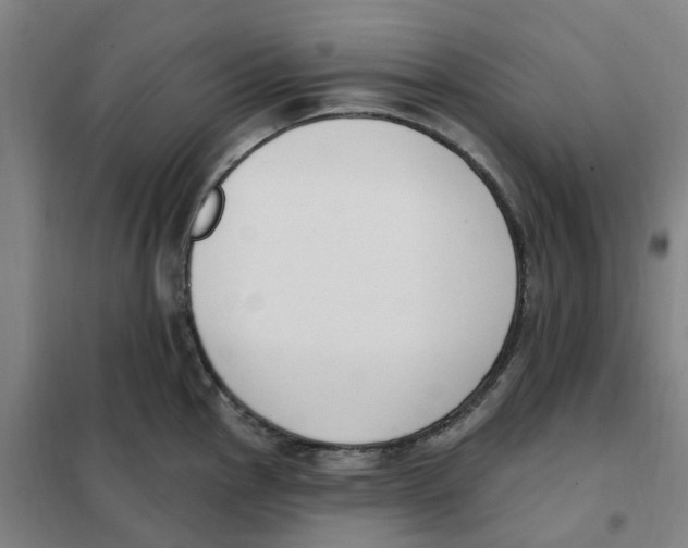 X0000101231145200807251128