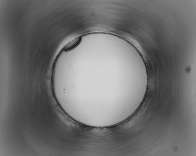 X0000101231146200807251128