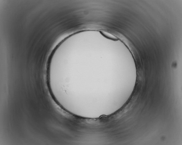 X0000101231147200807251128