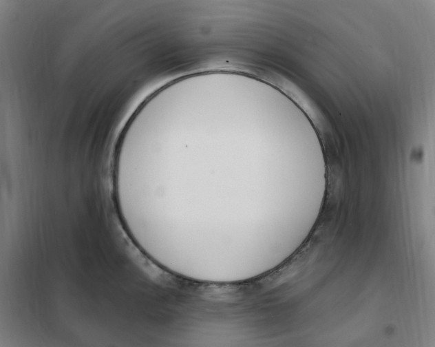 X0000101231148200807251128
