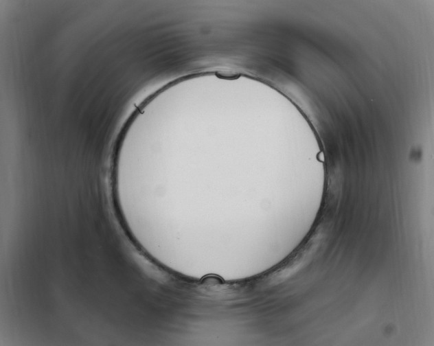 X0000101231149200807251128