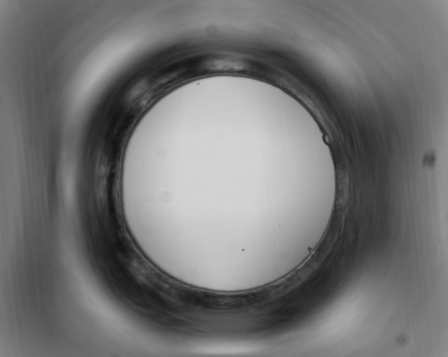 X0000101231151200807251128