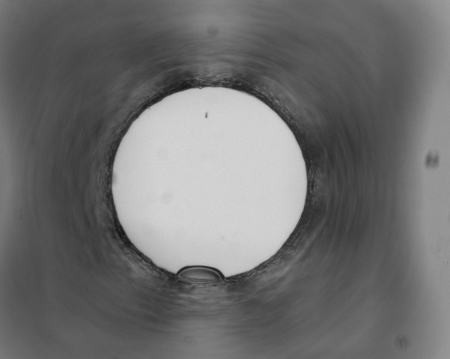 X0000101231153200807251127