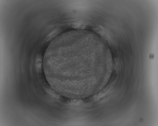 X0000101231154200807251127