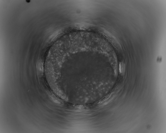X0000101231155200807251127