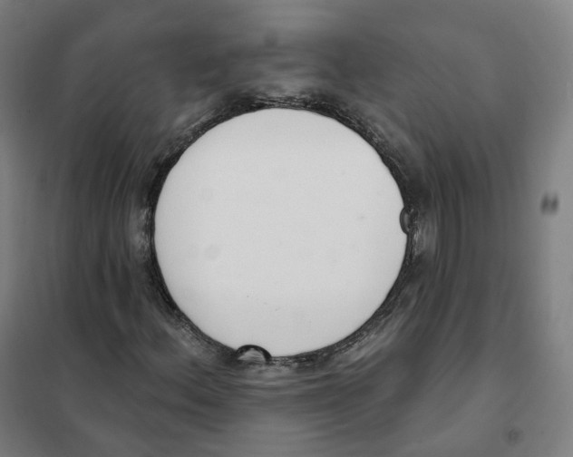 X0000101231156200807251127