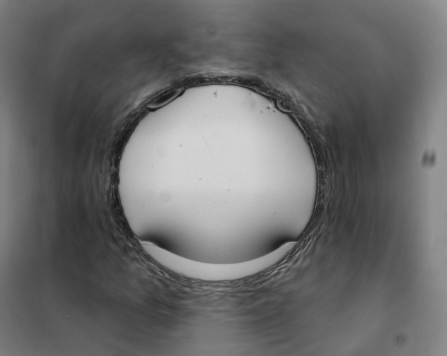 X0000101231157200807251127