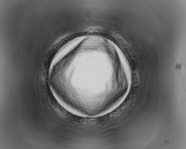 X0000101231158200807251127