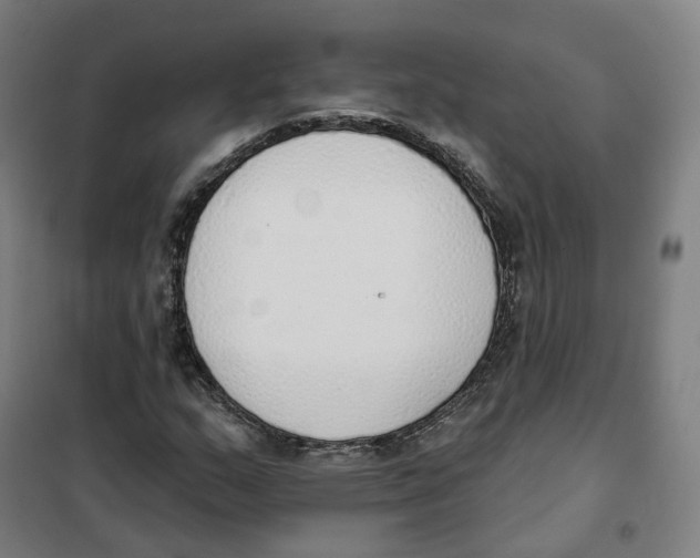 X0000101231159200807251127