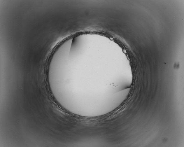 X0000101231160200807251127