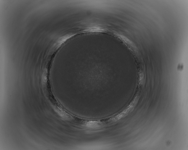 X0000101231161200807251127