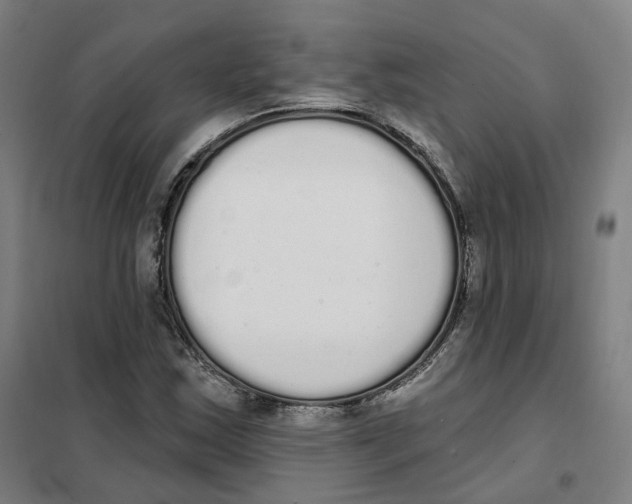 X0000101231163200807251127