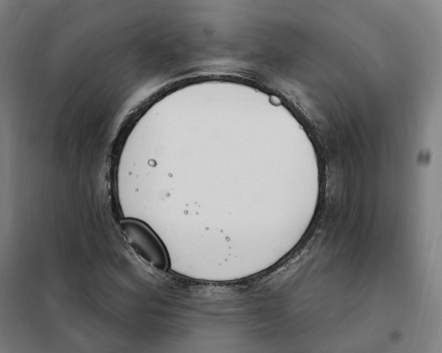 X0000101231164200807251127