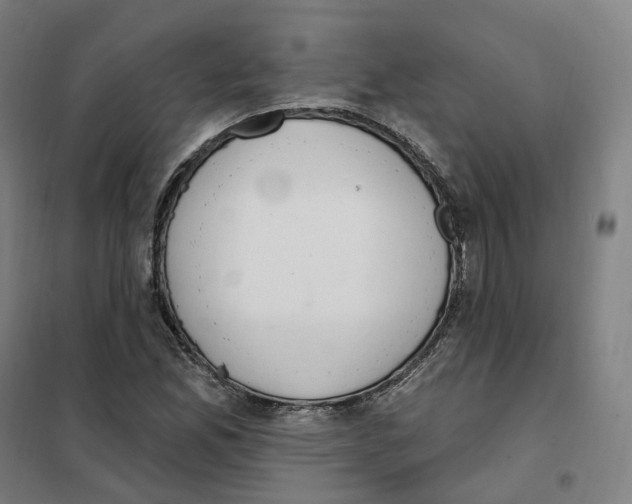 X0000101231165200807251127