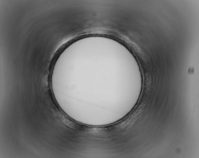 X0000101231166200807251127