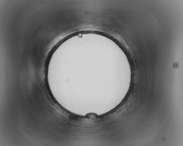 X0000101231167200807251127