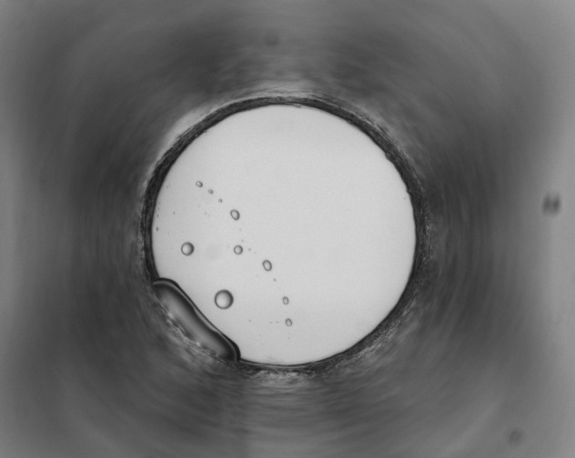X0000101231168200807251127