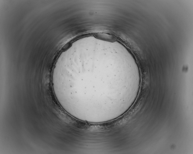 X0000101231169200807251127