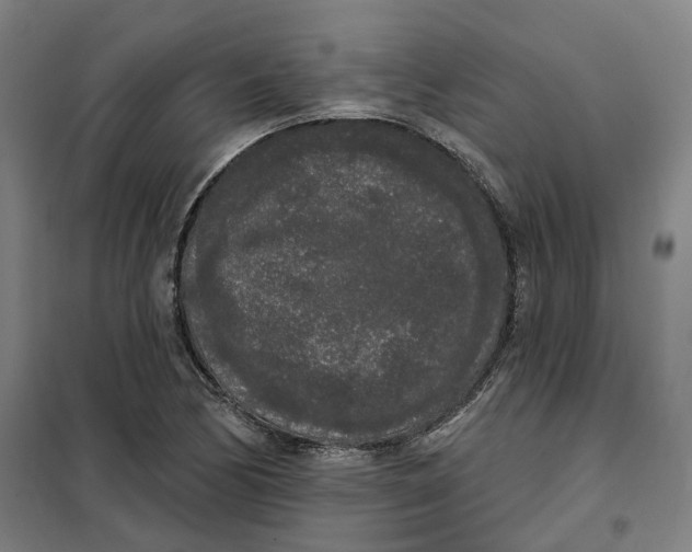 X0000101231170200807251127