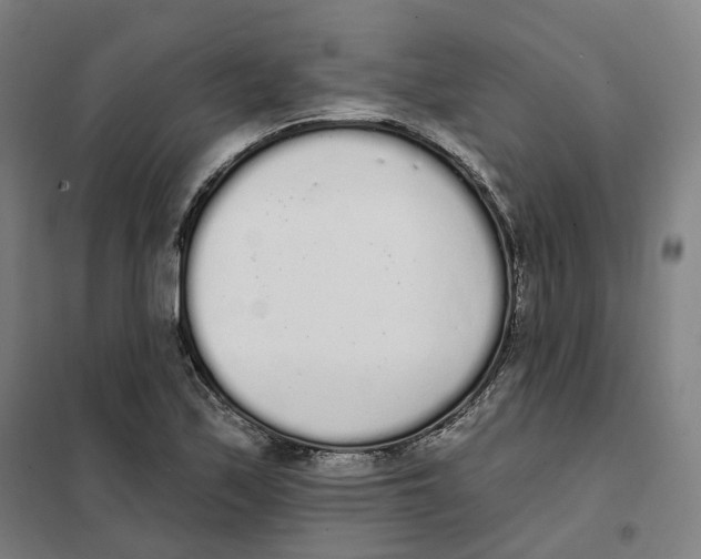 X0000101231171200807251127