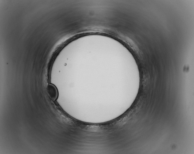 X0000101231172200807251127