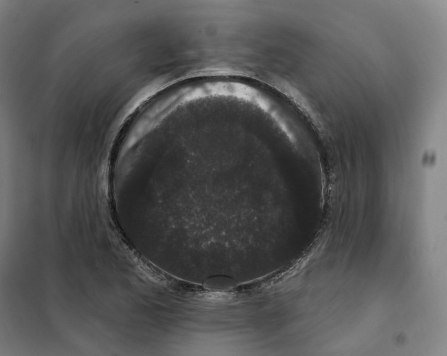 X0000101231173200807251127