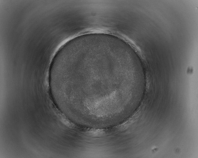 X0000101231174200807251127
