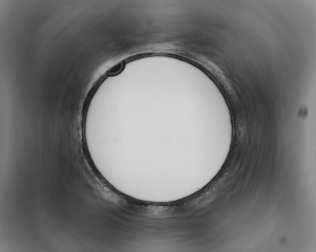 X0000101231176200807251127