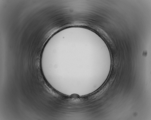 X0000101231177200807251127