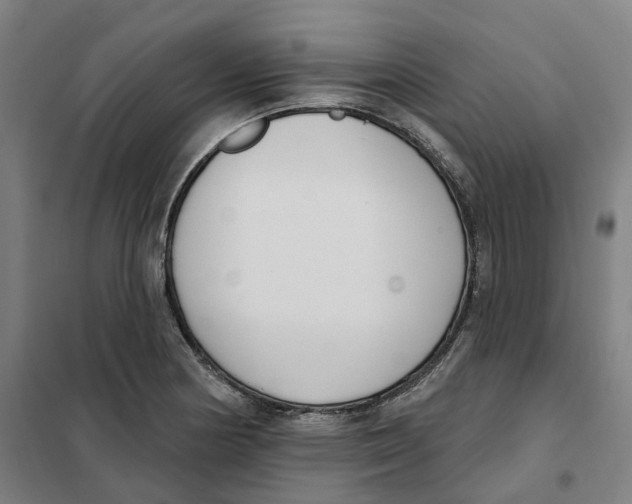 X0000101231178200807251127