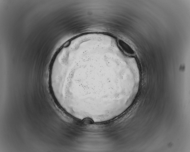 X0000101231179200807251127