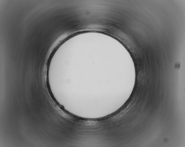 X0000101231180200807251127
