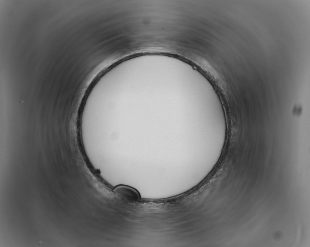 X0000101231181200807251127