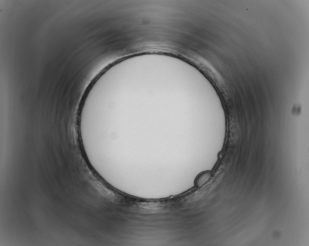 X0000101231182200807251127