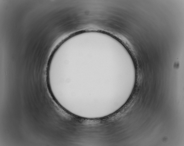 X0000101231183200807251127