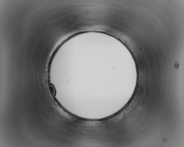 X0000101231184200807251127