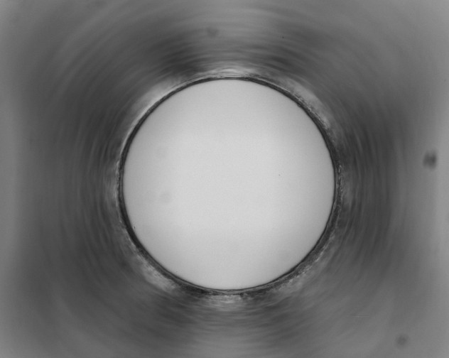 X0000101231186200807251127
