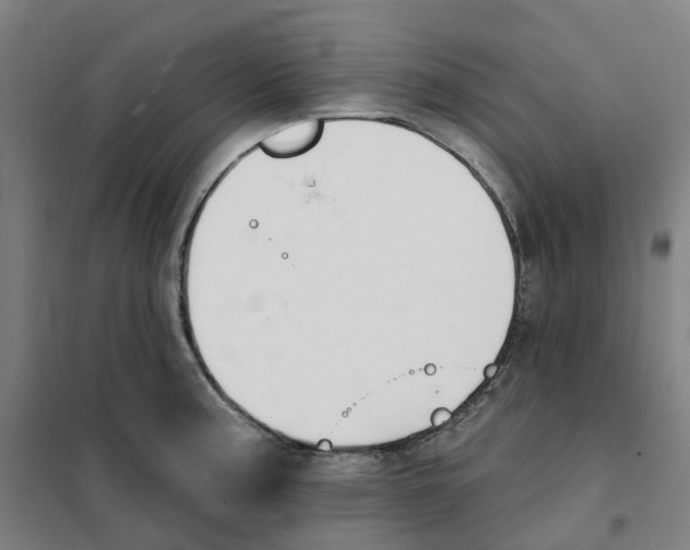 X0000101231187200807251127