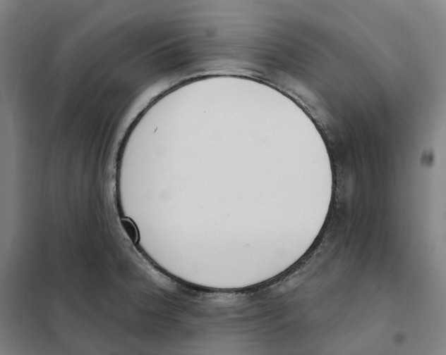 X0000101231188200807251127