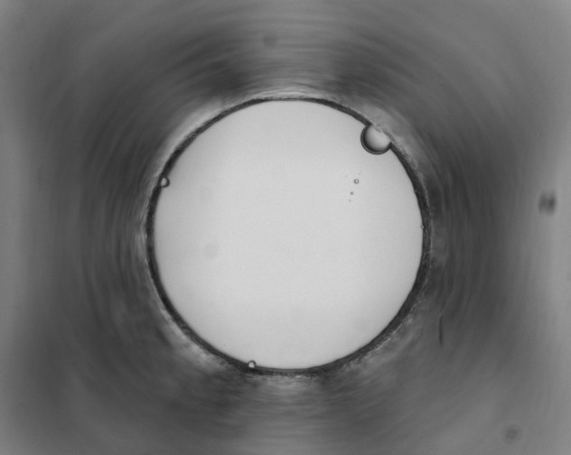 X0000101231189200807251127